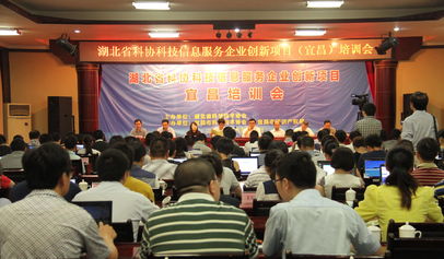 湖北省科学技术协会 赋能企业数字化转型的信息技术咨询服务